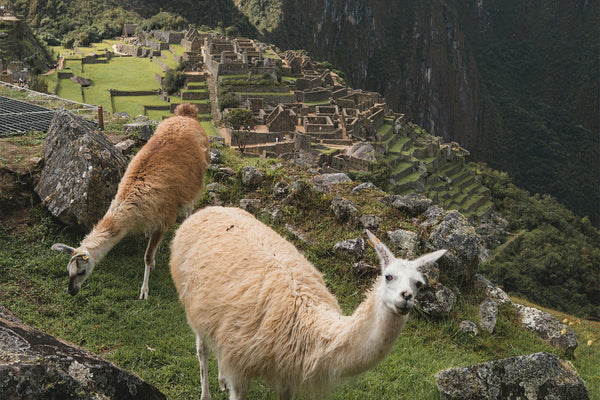 Explorando a Cordilheira dos Andes: Curiosidades e Aventura